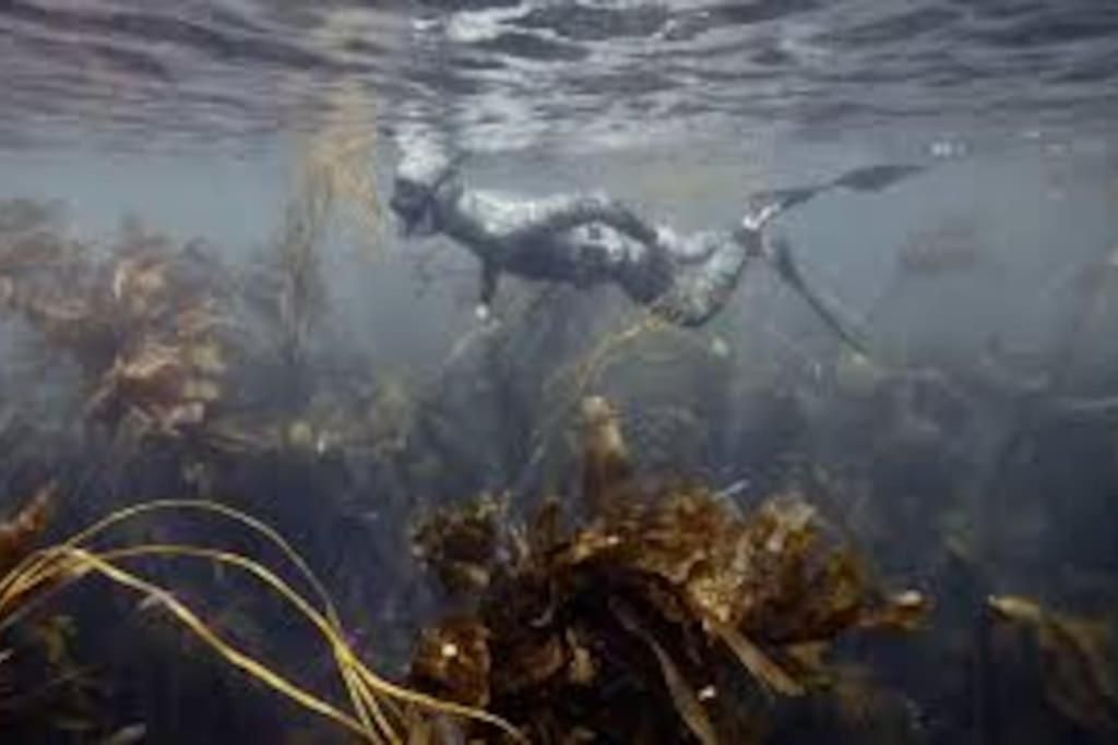 Gite Entre Mer Et Abers Landeda Luaran gambar