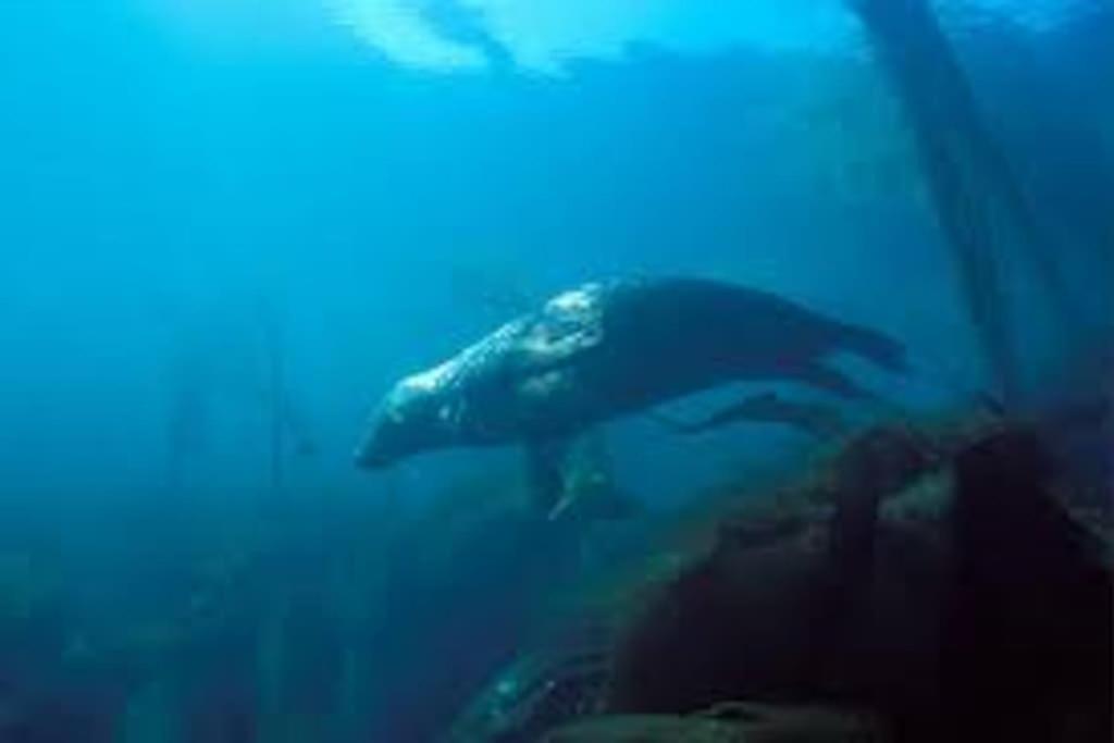 Gite Entre Mer Et Abers Landeda Luaran gambar